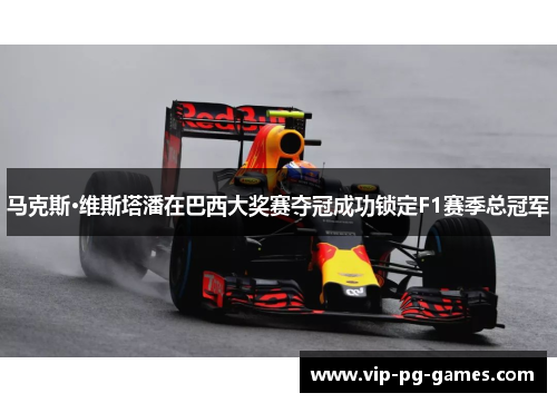 马克斯·维斯塔潘在巴西大奖赛夺冠成功锁定F1赛季总冠军